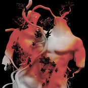 Bittersweet (Shatter Hands Remix)