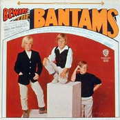 Do You Love Me by The Bantams