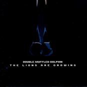 The lions are growing