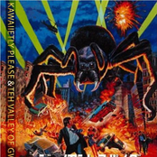 Kawaiietly Please / Teh Valley Of Gwangi split