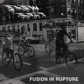 Fusion in Rupture