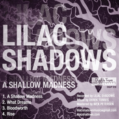 Shallow Madness EP