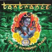 Tantrance Vol. 13