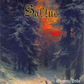 Blood And Honour by Saltus