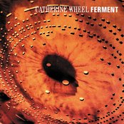 Catherine Wheel - Ferment Artwork