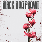 Black Dog Prowl: Fine Lousy State