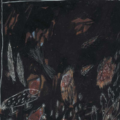 Underwears Band (우리는 속옷도 생겼고 여자도 늘었다네)