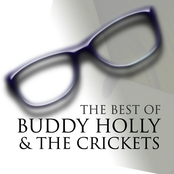 Valley Of Tears by Buddy Holly & The Crickets