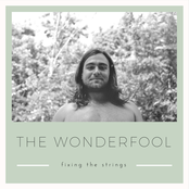 The Wonderfool: Fixing the Strings