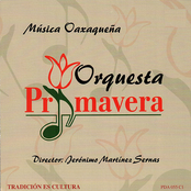 Musica Oaxaquena