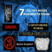 7 Filthy Noise Regurgitations