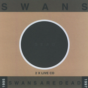 Low Life Form by Swans
