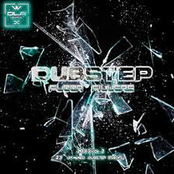 Dubstep Floor Fillers 2013 Vol. 2