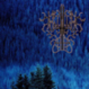 Lore From an Ancient Forest