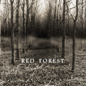 Red Forest