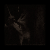 Cloaked in the Gloom of Nightfall