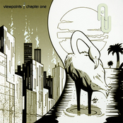 Viewpoints Chapter One