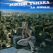 Mes Morceaux by Junior Tshaka