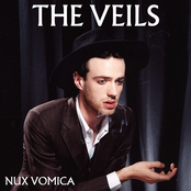 One Night On Earth by The Veils