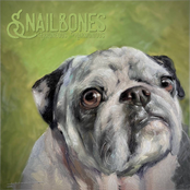 Snailbones: Erroneous Harmonious