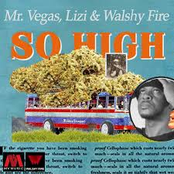 Walshy Fire: So High