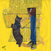 I Don't Know Much About Rocks - EP