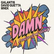 Damn (You've Got Me Saying) - Single