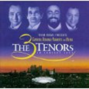 Three Tenors in Concert 1994