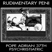 Pogo Pope by Rudimentary Peni