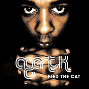 Cat Interlude Ii by Agent K