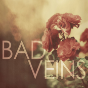 Falling Tide by Bad Veins