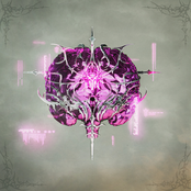 Brain Rot
