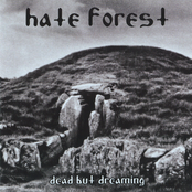 Grief Of The Universe by Hate Forest