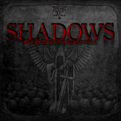 shadows