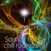 Soul Synthesis: Sounds for the Chill Rooms, Vol. 1