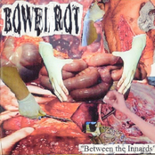 Between The Innards - Promo / Demo Tape '11