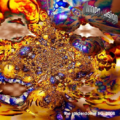 the spiderdome BG 2008