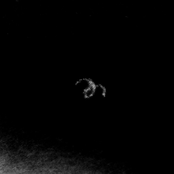 ~----ꡐꡂꡰꡝꡈ----~