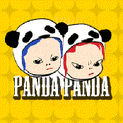 panda panda