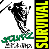 Jungle Jamz 2.0