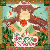 Evergreen Bloom