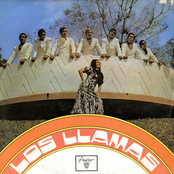 los llamas