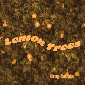 Lemon Trees