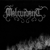 L'Hymne de la Ghilde- Le Malcuidant