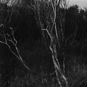 TT033: African Ghost Valley / memotone