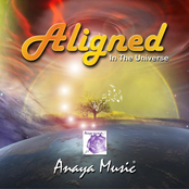 Aligned in the Universe