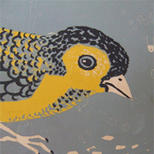 Benevolent Pearl Society