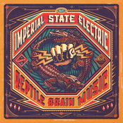 Nothing Like You Said It Would Be by Imperial State Electric