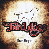 The Bird Dogs: Our Hope
