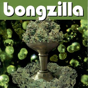 Bongzilla: Stash